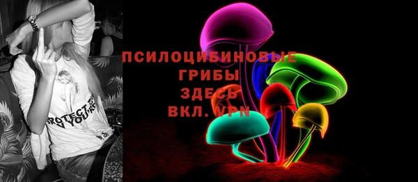 герыч Богородск